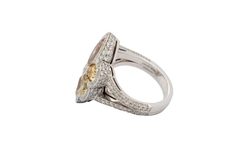 4.25ct Natural Multi Coloured Diamond & Platinum Dress Ring 20.1g