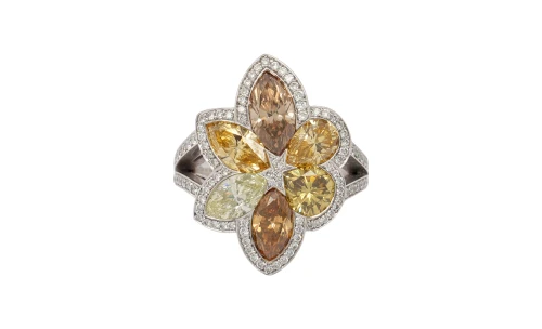 4.25ct Natural Multi Coloured Diamond & Platinum Dress Ring 20.1g