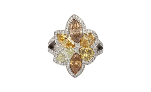4.25ct Natural Multi Coloured Diamond & Platinum Dress Ring 20.1g
