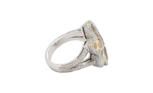 4.25ct Natural Multi Coloured Diamond & Platinum Dress Ring 20.1g
