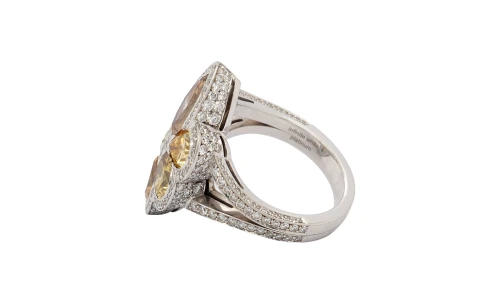 4.25ct Natural Multi Coloured Diamond & Platinum Dress Ring 20.1g
