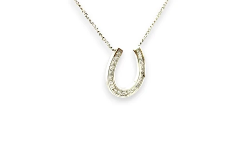 0.25ct Natural Diamond & 9ct White Gold Horse Shoe Necklace (18.5 x 16.0mm)  17inch 4.08g