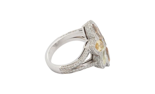 4.25ct Natural Multi Coloured Diamond & Platinum Dress Ring 20.1g
